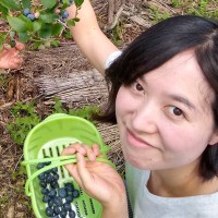 茨木 いずみ