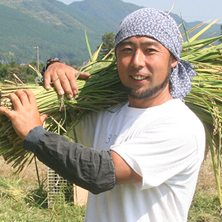 平野 達也