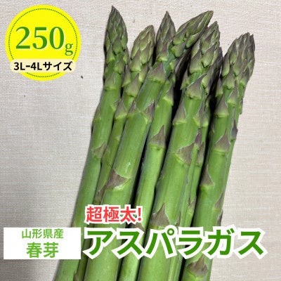【山形県川西町ふるさと納税】令和8年度第1四半期の寄附金額が前年同期比約4.6倍に！