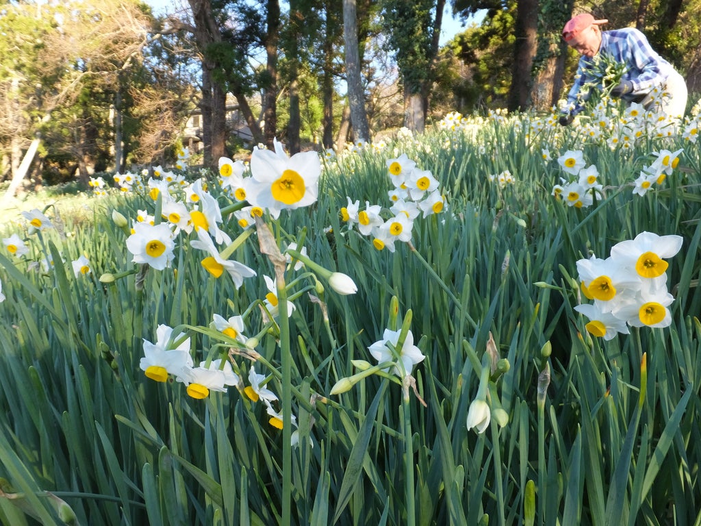 地方創生プロデュースのさとゆめとHISが、鋸南町と「新しい目的地づくり」に関する協定を締結